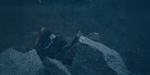 サイトリニューアル1周年｜4つのキャンペーンを同時開催！