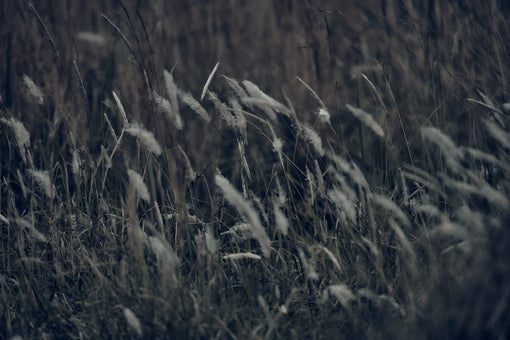 2026 F/W